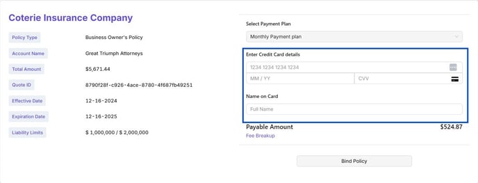 Credit Card Payment 1
